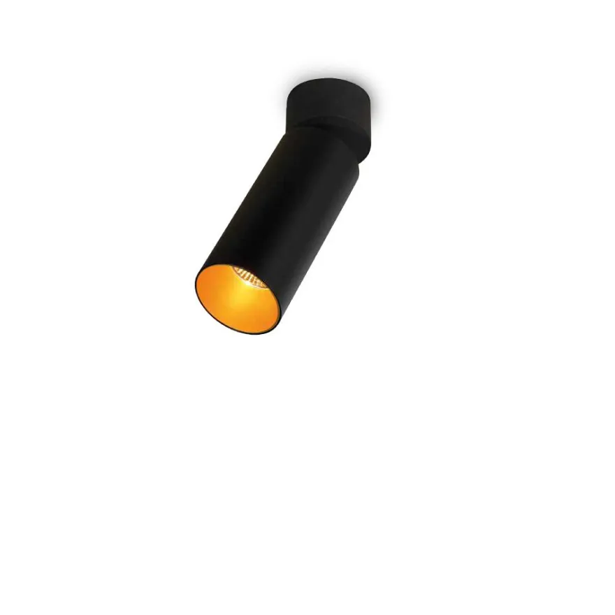 FUNNEL Beweglicher Spot-Deckenspot